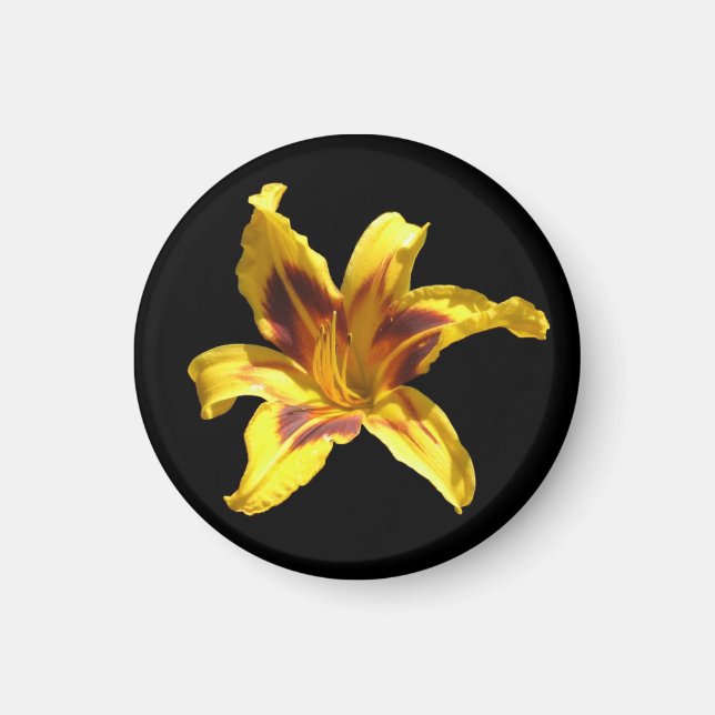 Yellow & Red Lily Magnet (Front)