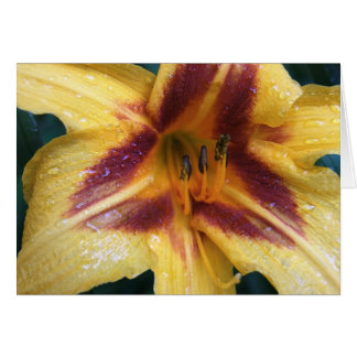 Yellow Red Spark