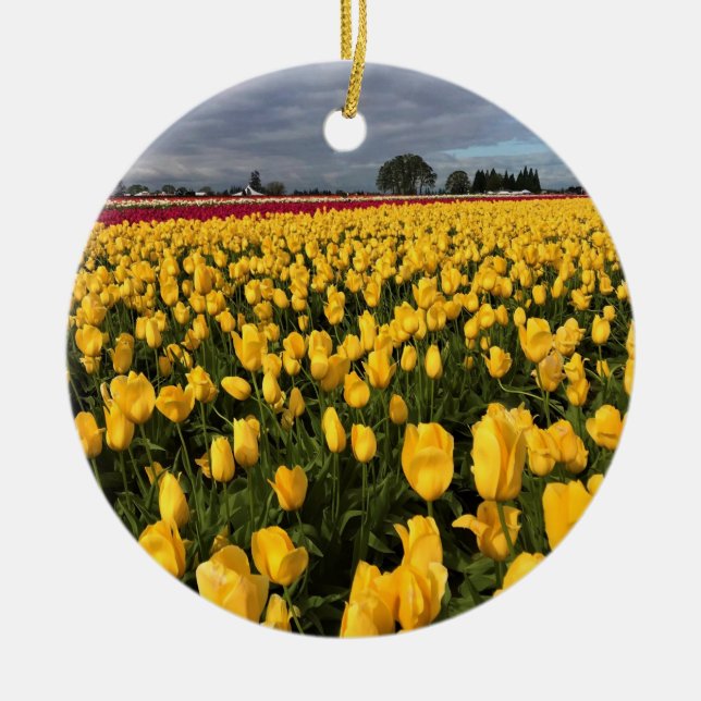 Yellow & Red Tulip Field, Oregon Ceramic Tree Decoration (Front)