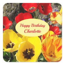 Yellow & Red Tulips Birthday