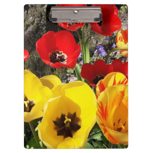 Yellow & Red Tulips  Clipboard