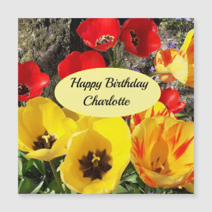 Yellow & Red Tulips Magnetic Birthday Card