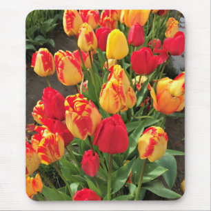 Yellow & Red Tulips Mouse Mat