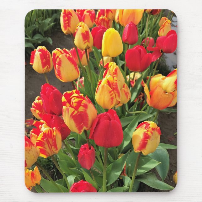 Yellow & Red Tulips Mouse Mat (Front)