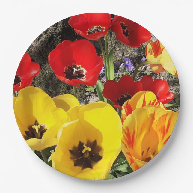 Yellow & Red Tulips  Paper Plate (Front)