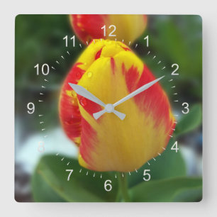 yellow red tulips square wall clock