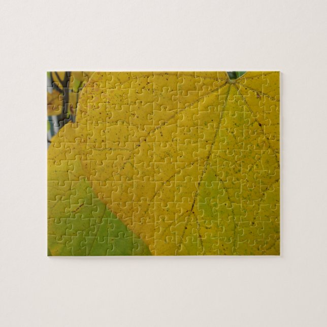 Yellow Redbud Leaves Autumn Nature Photography Jigsaw Puzzle (Horizontal)