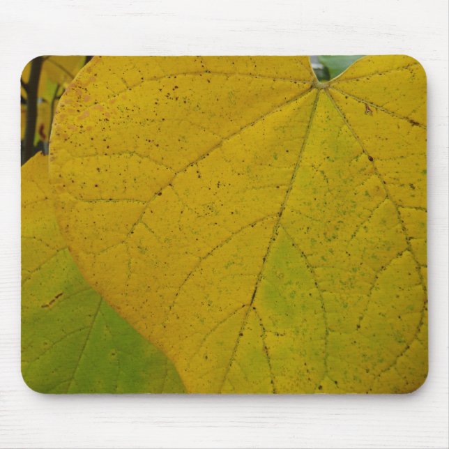 Yellow Redbud Leaves Autumn Nature Photography Mouse Mat (Front)