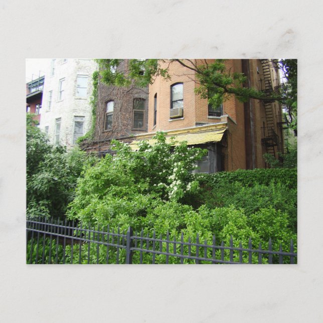 Yellow roof & garden postcard (Front)