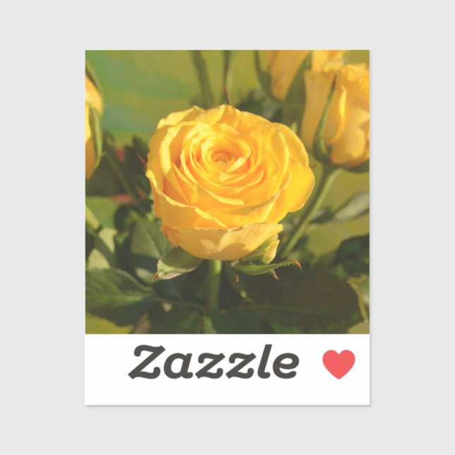 Yellow Rose   (Sheet)