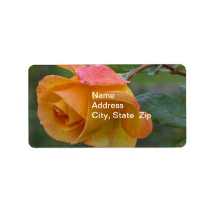 Yellow Rose3 Label