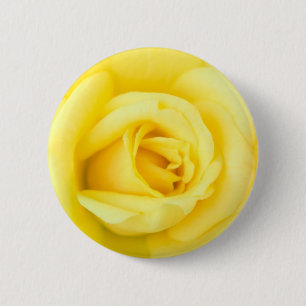 Yellow rose 6 cm round badge