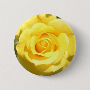 Yellow Rose 6 Cm Round Badge
