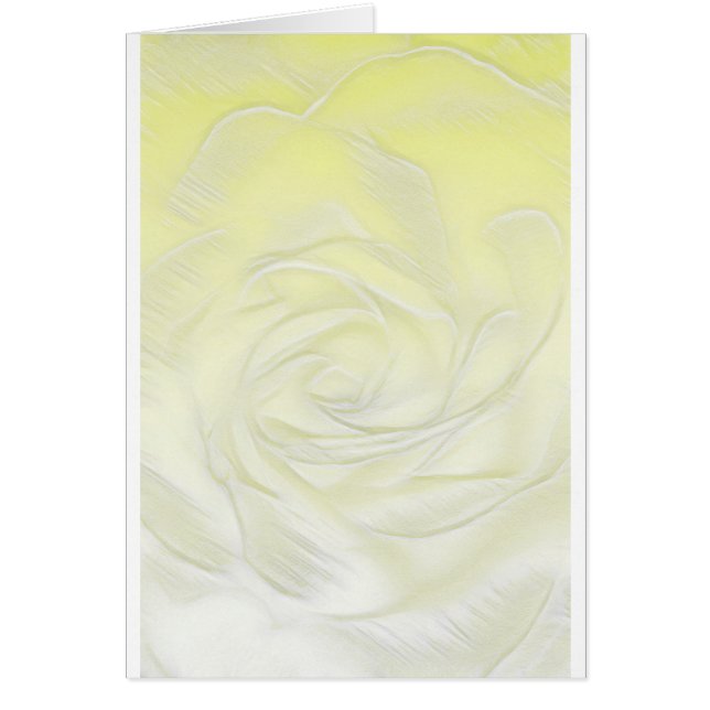 Yellow Rose Abstract (Front)