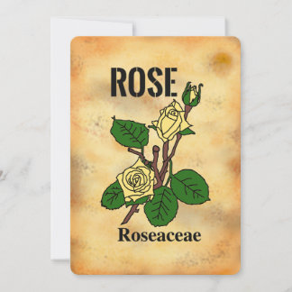 Yellow rose aged paper style line art Flat Card