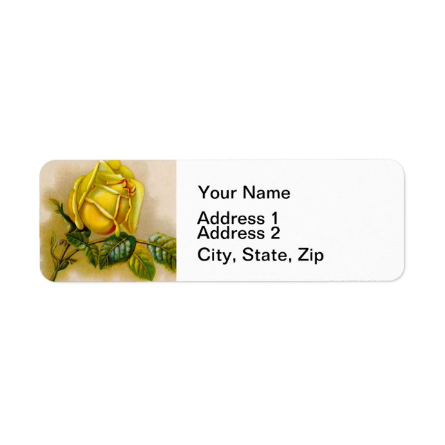 Yellow Rose Antique Vintage Print Fine Art (Front)