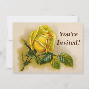 Yellow Rose Antique Vintage Print Fine Art Invitation