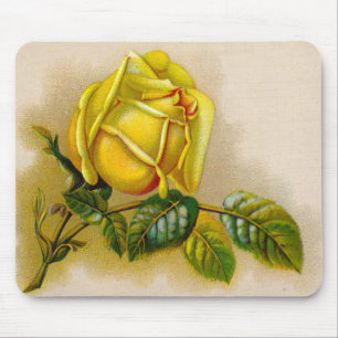 Yellow Rose Antique Vintage Print Fine Art Mouse Mat