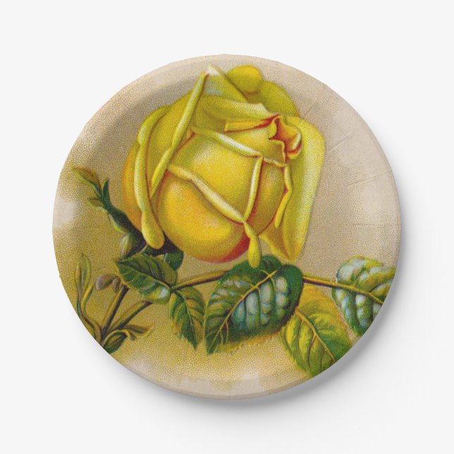 Yellow Rose Antique Vintage Print Fine Art Paper Plate (Front)