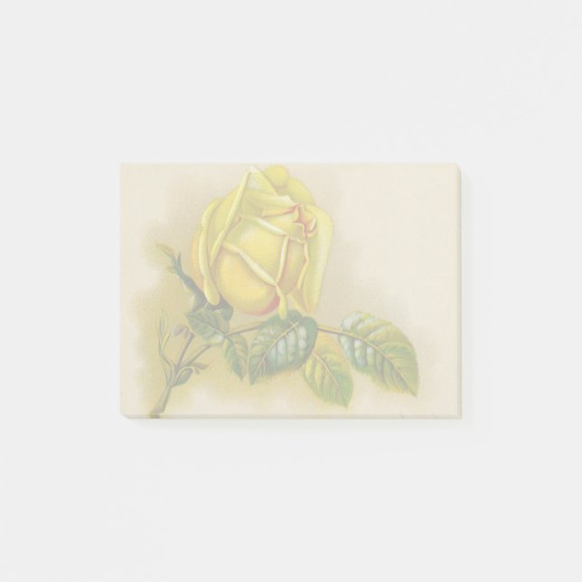 Yellow Rose Antique Vintage Print Fine Art Post-it Notes (Front)