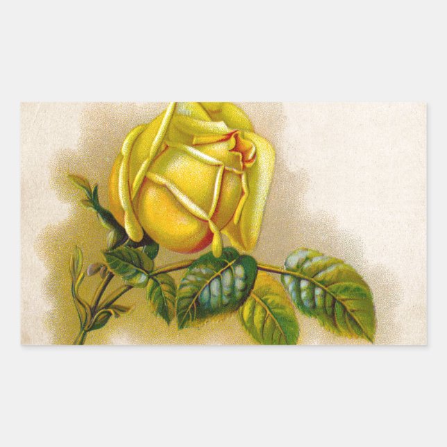 Yellow Rose Antique Vintage Print Fine Art Rectangular Sticker (Front)