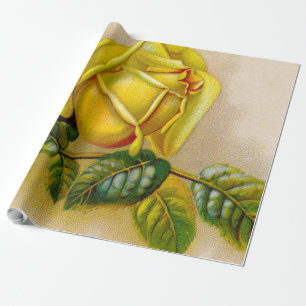Yellow Rose Antique Vintage Print Fine Art Wrapping Paper