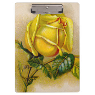 Yellow Rose Artwork Print Fine Art Clipboard