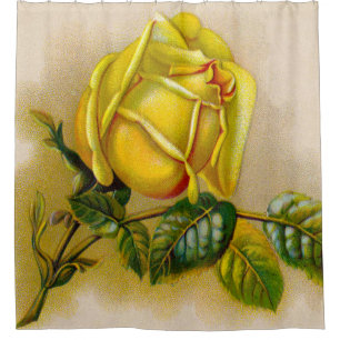Yellow Rose Artwork Print Fine Art Shower Curtain