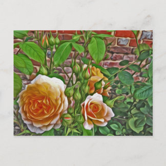Yellow Rose at Hampton Court Garden Postcard