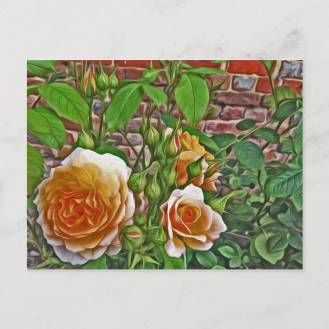 Yellow Rose at Hampton Court Garden Postcard (Front)