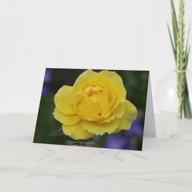 Yellow Rose Blank Greeting Card (Front)