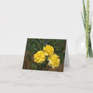 Yellow rose blank note card