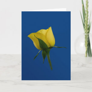 Yellow Rose Blank Note or Greeting Card