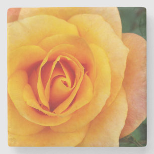 yellow rose blossom stone coaster