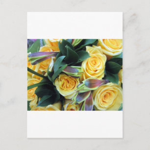Yellow Rose Buds Postcard