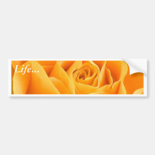 Yellow Rose Bumper Sticker