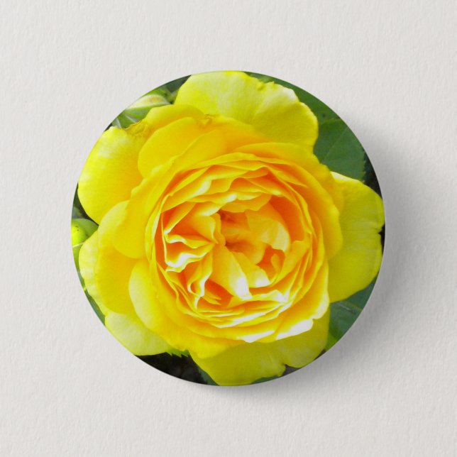 Yellow Rose Button (Front)