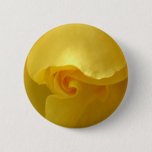 Yellow Rose Button