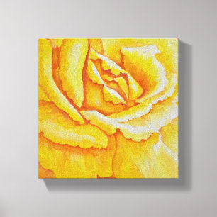 Yellow Rose Canvas Print