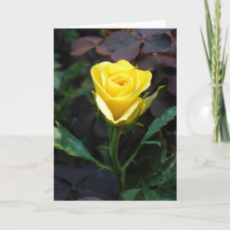 Yellow Rose Card