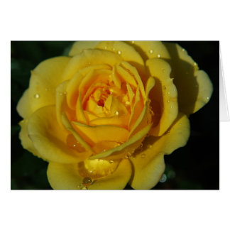 Yellow Rose Card