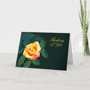 Yellow Rose Card