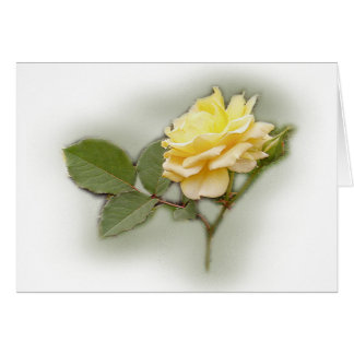 Yellow Rose Card