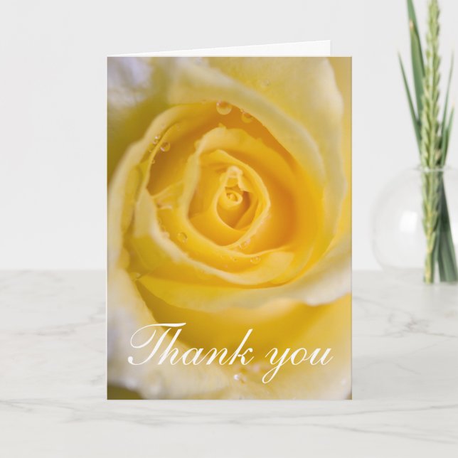 Yellow rose ... card (Front)