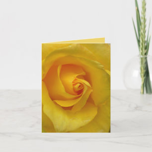 Yellow Rose Card Flowers Custom Greeting Cards