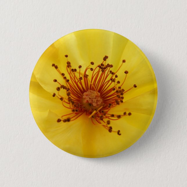 Yellow Rose Centre Button (Front)