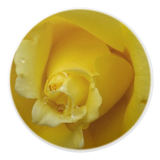 Yellow Rose Ceramic Pull (Front)