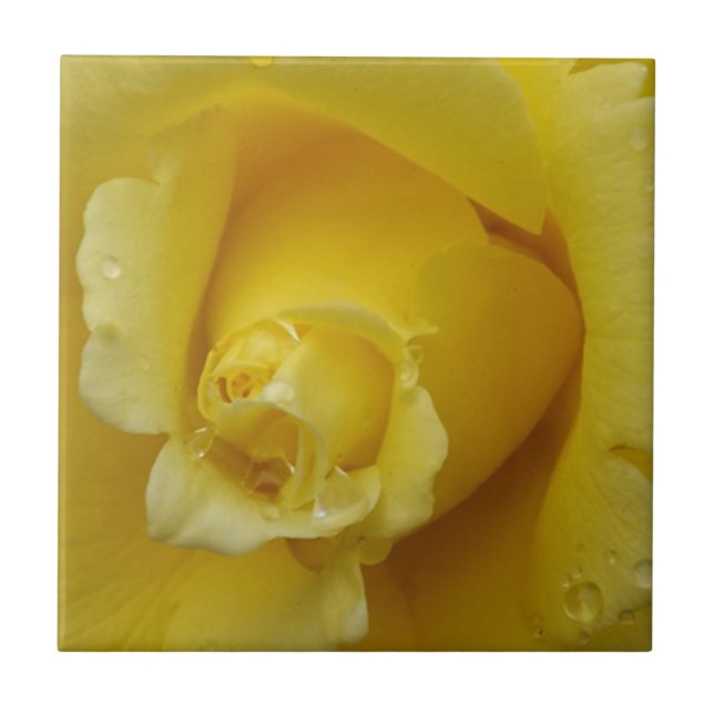 Yellow rose ceramic tile (Front)