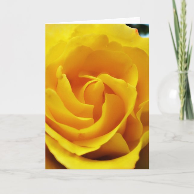 Yellow Rose Close Up Scripture Card Psalm 31:24 (Front)