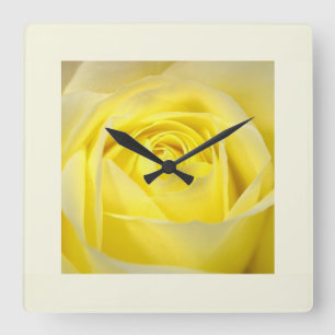 Yellow Rose Closeup Square Wall Clock